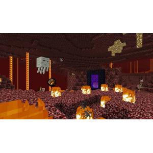 【新品】NSW Minecraft(マインクラ...の詳細画像3