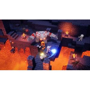 【新品】NSW Minecraft Dunge...の詳細画像1