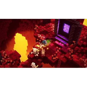 【新品】NSW Minecraft Dunge...の詳細画像2