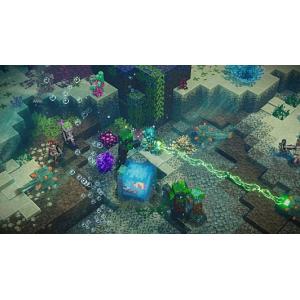 【新品】NSW Minecraft Dunge...の詳細画像5