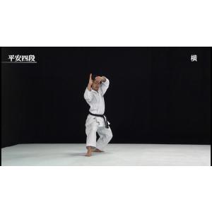松涛館流空手道形教範全集 基本形 Vol.2 ...の詳細画像2