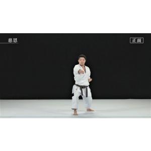 松涛館流空手道形教範全集 得意形1 Vol.1...の詳細画像1