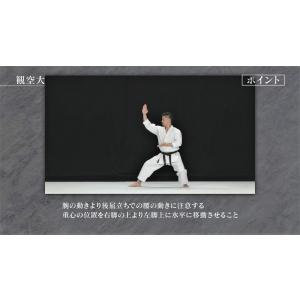 松涛館流空手道形教範全集 得意形1 Vol.1...の詳細画像2