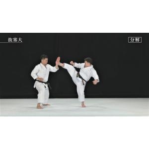 松涛館流空手道形教範全集 得意形1 Vol.1...の詳細画像3