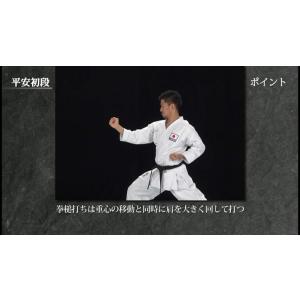 松涛館流空手道形教範全集 基本形 Vol.1 ...の詳細画像3