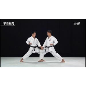 松涛館流空手道形教範全集 基本形 Vol.1 ...の詳細画像4