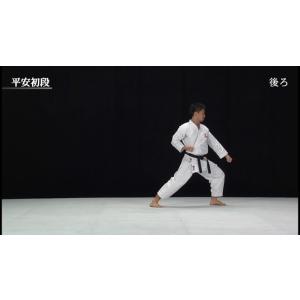 松涛館流空手道形教範全集 基本形 Vol.1 ...の詳細画像5