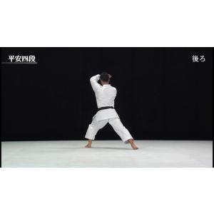松涛館流空手道形教範全集 基本形 Vol.2 ...の詳細画像5