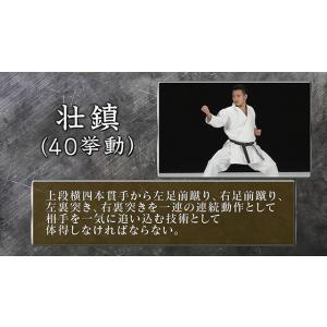 松涛館流空手道形教範全集 得意形2 Vol.2...の詳細画像1