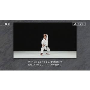 松涛館流空手道形教範全集 得意形2 Vol.2...の詳細画像2