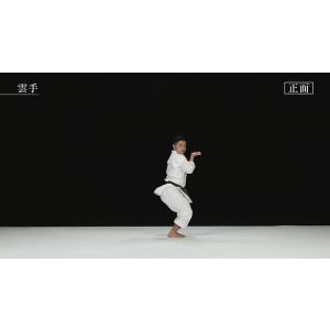 松涛館流空手道形教範全集 得意形2 Vol.2...の詳細画像4