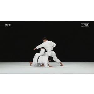 松涛館流空手道形教範全集 得意形2 Vol.2...の詳細画像5