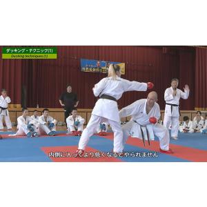 デニス&アンジェリカ 世界最強師弟セミナー V...の詳細画像2