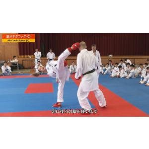 デニス&アンジェリカ 世界最強師弟セミナー V...の詳細画像5