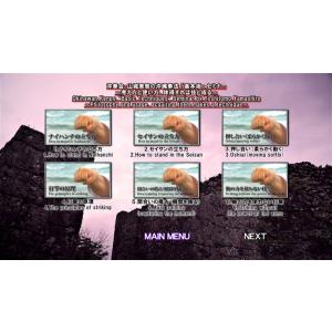 沖拳会・山城美智の沖縄拳法 基本術 セミナー ...の詳細画像1