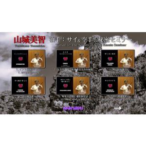 山城美智 サイ&空手の秘密セミナー (DVD)の詳細画像1