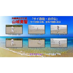沖縄拳法空手道 山城美智 「サイ教範・泊手伝」...の詳細画像1
