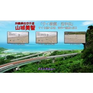 沖縄拳法空手道 山城美智 「サイ教範・泊手伝」...の詳細画像2
