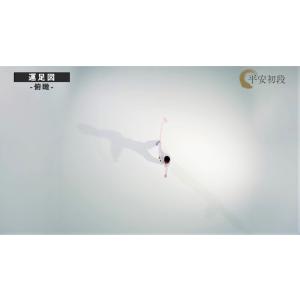 日本空手協会 空手道型 第一巻 (DVD)の詳細画像2