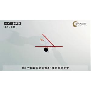 日本空手協会 空手道型 第一巻 (DVD)の詳細画像3