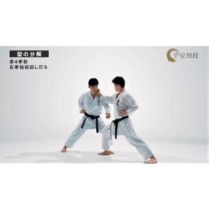 日本空手協会 空手道型 第一巻 (DVD)の詳細画像4