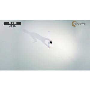 日本空手協会 空手道型 第二巻 (DVD)の詳細画像1