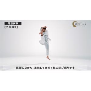 日本空手協会 空手道型 第二巻 (DVD)の詳細画像2
