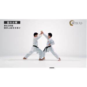 日本空手協会 空手道型 第二巻 (DVD)の詳細画像4