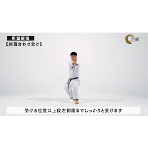 日本空手協会 空手道型 第三巻 (DVD)の詳細画像2