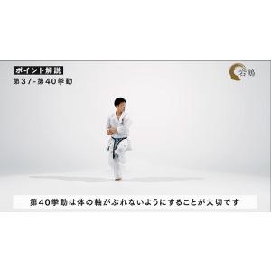 日本空手協会 空手道型 第三巻 (DVD)の詳細画像3