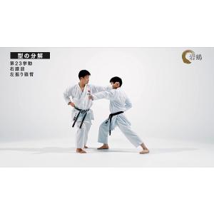 日本空手協会 空手道型 第三巻 (DVD)の詳細画像4