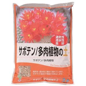 サボテンの土 サボテン 多肉植物 の商品一覧 花 ガーデニング 通販 Yahoo ショッピング