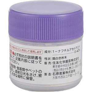 ルートン サボテン 多肉植物 の商品一覧 花 ガーデニング 通販 Yahoo ショッピング
