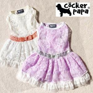 愛犬の服【再入荷】ラグジュアリーリボンベルトのレースワンピース【cockerpapa】｜chaneri