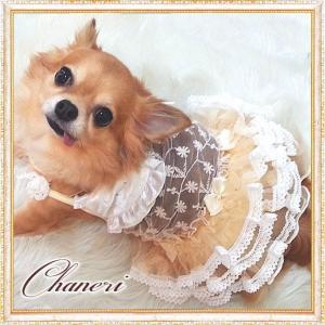 犬 服【Sale】大きなリボンのチュチュフリルドレス/Petstyle : Chaneri