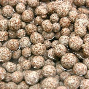 パッケージなし エーハイム サブストラット プ...の詳細画像3