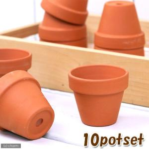 ドイツ製 テラコッタポット  穴有り SAA06−0 10個セット