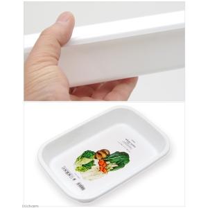 プラスチックトレイ ホワイトの詳細画像1