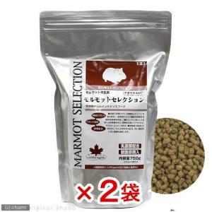 SELECTION PRO. イースター モルモットセレクションプロ 600g×2袋