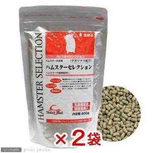 イースター ハムスターセレクションプロ メンテナンス 300g ハムスター