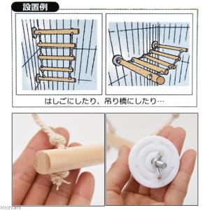 NPF エクセル ロープラダー 1個の詳細画像1