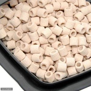 パワーハウス ソフトタイプ Mサイズ 淡水用 ...の詳細画像2