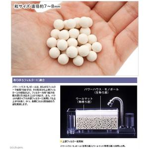 パワーハウス モノボール 淡水・海水両用 3リットルの詳細画像1