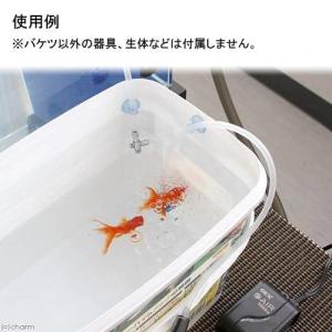 点滴法で生体にやさしい 水合わせキット エーハ...の詳細画像2