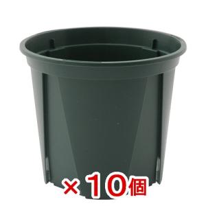 スリット鉢　ＥＵＰＯＴ　１１ｃｍ　モスグリーン　１０個入り