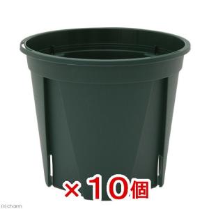 スリット鉢　ＥＵＰＯＴ　１０ｃｍ　モスグリーン　１０個入り