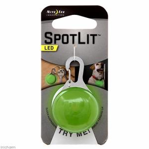 プラッツ　ＮＩＴＥ　ＩＺＥ　スポットリット　ネオンライム　犬　夜間　ＬＥＤ　お散歩ライト｜chanet