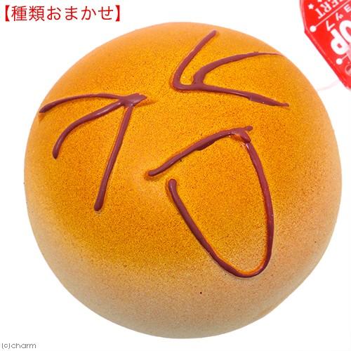 プラッツ　ドギー　ベイクショップ　（種類はおまかせとなります）