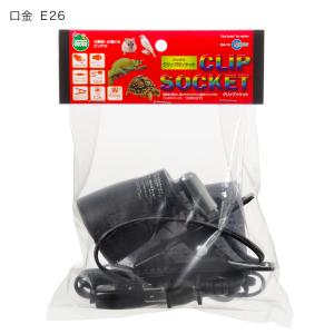 フトアゴヒゲトカゲ飼育セット (90cmケージ...の詳細画像1