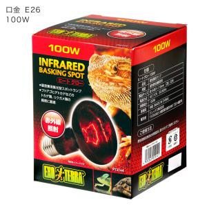 フトアゴヒゲトカゲ飼育セット (90cmケージ...の詳細画像3